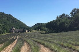 Entdecken Sie die Provence, darunter die Dörfer von Avignon und Luberon mit einem lokalen Reiseführer
