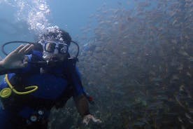Bodrum Scuba Diving Tour With Free Hotel Transfer By Locals