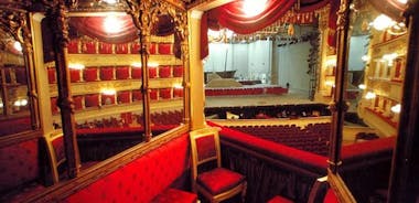 Visita al Teatro de La Scala y Museo de Milán