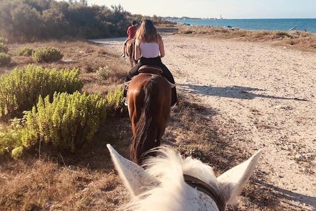 Paseos a caballo en una reserva natural de Salento con traslado desde Lecce