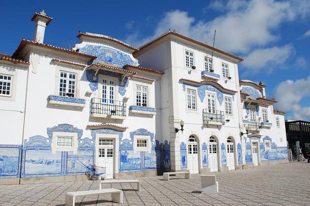 Aveiro & Costa Nova Halvdagstur fra Porto med Moliceiro River Cruise