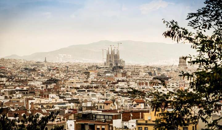 Barcelona Privat 4 timers kystudflugt med privat køretøj og guide