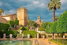 Private Transfer from Seville to Granada with Tour of Cordoba