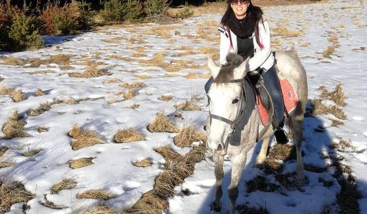 Excursión privada de 2 días a caballo en Rila desde Sofía