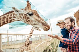 Ohne Anstehen im Tierpark Hellabrunn in München mit Transfers