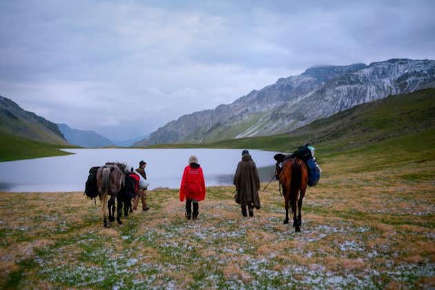 Excursion à cheval de 3 jours dans le parc national de Lagodekhi