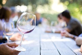 Dagtocht: wijnproeverij in Ribera del Duero vanuit Madrid (per hogesnelheidstrein)