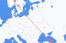 出发地 土耳其从奥尔杜出发目的地 挪威奥斯陆的航班