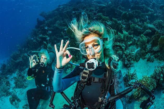 Tour di immersioni subacquee ad Antalya con pranzo e trasferimento