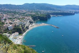 Sorrento, Positano e Amalfi - Tour Privado