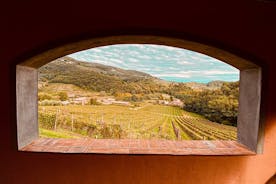 Lucca: wijnproeverij - Tenuta Adamo Winery