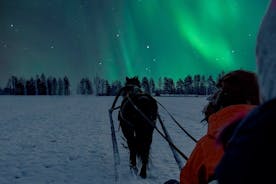 Giro in slitta trainata da cavalli sotto il cielo notturno nell'Apukka Resort, Rovaniemi