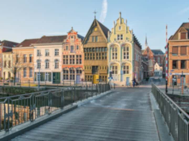 Wycieczki kulturalne w dzielnicy Mechelen, Belgia