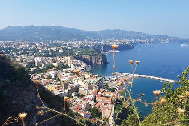 Tour aan de kust van Amalfi: Sorrento en Positano, een dag vanuit Rome