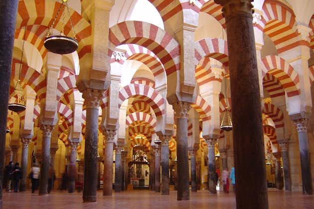 Cordoba en zijn moskeetour vanuit Sevilla Volledige dagrondleiding