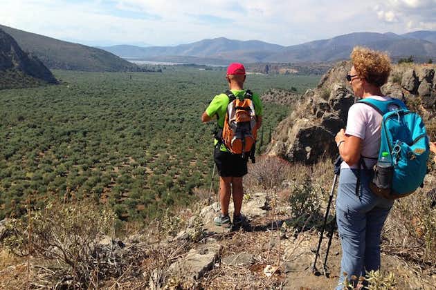 HIKE OR BIKE DELPHI Private Guided Tour with Olive Culture Option