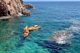 10hr Barcelona Day Trip: Kayak & Snorkel Costa Brava + Lunch, Beach time, Photos