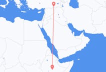 Flyreiser fra Goba, Etiopia til Mardin, Tyrkia