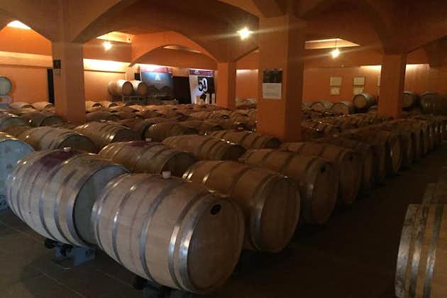 Dégustation de vins-Usine d'huile d'olive-Villages traditionnels-Petit groupe