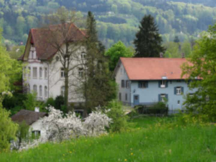 Varebiler til leie i Regensdorf, Sveits