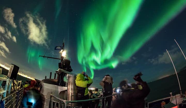 Boottocht vanuit Reykjavik om het noorderlicht te zien