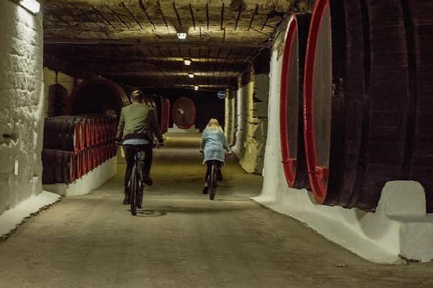 Visite privée à vélo à la cave Cricova avec dégustation de vin et déjeuner