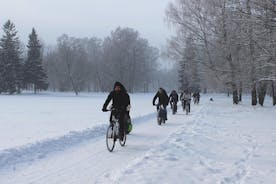 Tour de invierno en bicicleta por Tallin con parada de café