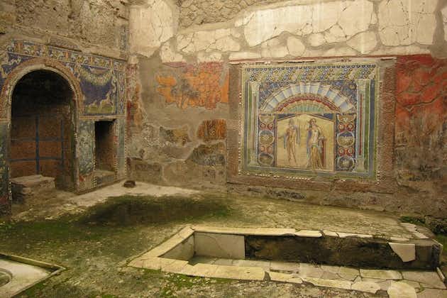 Herculaneum Skip-the-line Tour with a Private Guide - Half Day