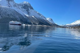 Privat båttur Fiske och sightseeing Hjørundfjord