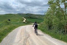 Toscana SPA og Kreta Senesi e-sykkeltur - dagstur til Firenze