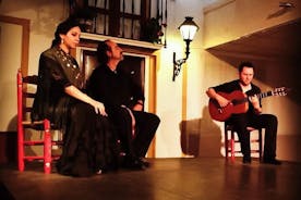  Flamenco tour of Seville