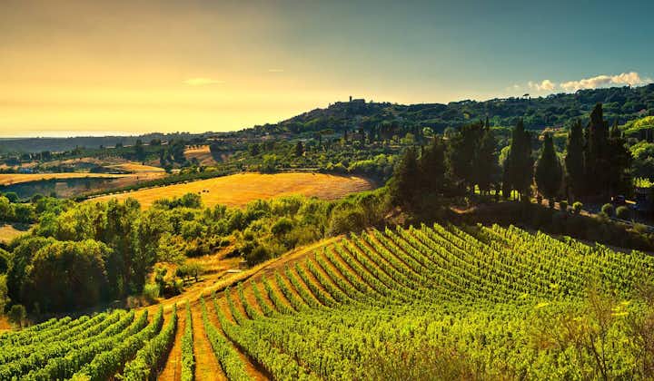 Private Gourmet Wine Tour in Tuscany, Italy