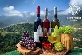Skywalk og profesjonell vinsmaking og vingårder i 4x4-tur