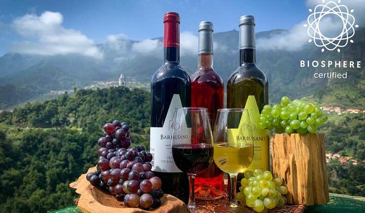 Skywalk avec dégustation de vins et vignobles Aventure d'une demi-journée en 4x4