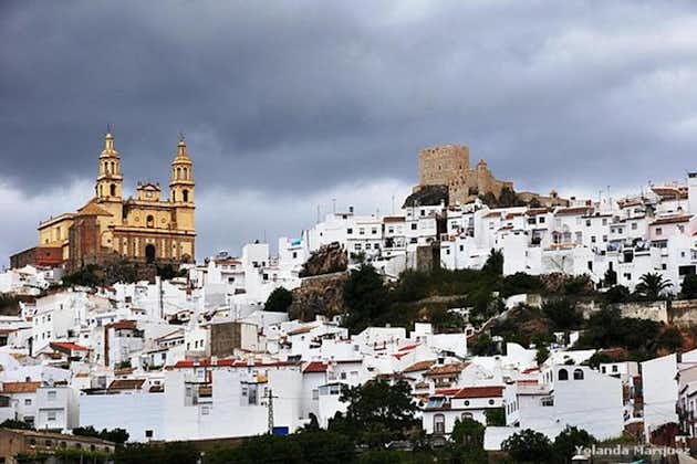Dagtrip van Jerez naar witte dorpen