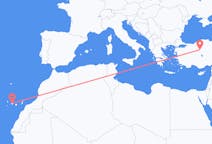 出发地 西班牙出发地 特内里费岛目的地 土耳其安卡拉的航班