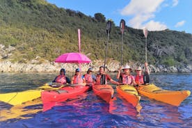 Excursion d'une journée en kayak et en vélo aux îles Elaphites au départ de Dubrovnik