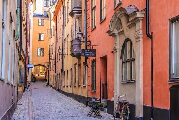 Privat rundtur i Stockholm med ett besök i Absolute ice bar