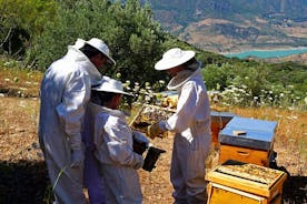 Excursões de abelhas na Serra de Cádiz