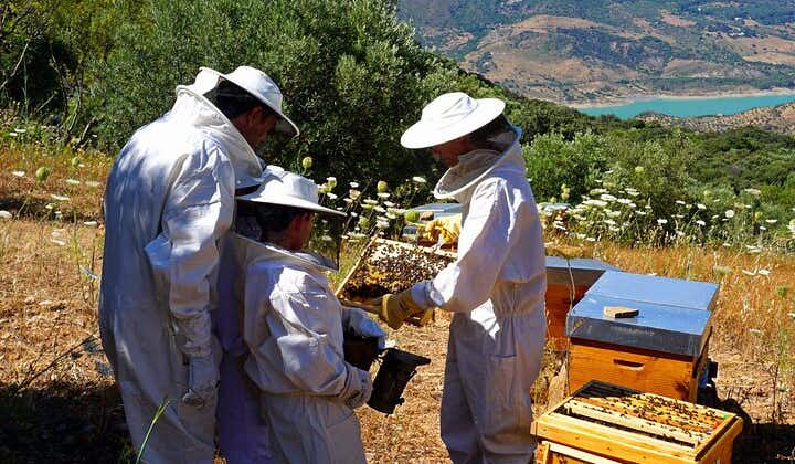Bee Excursions in the Sierra de Cadiz