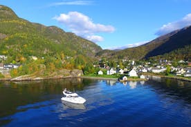 Bergen - Folgefonna Fjord + Gletsjer privat krydstogt