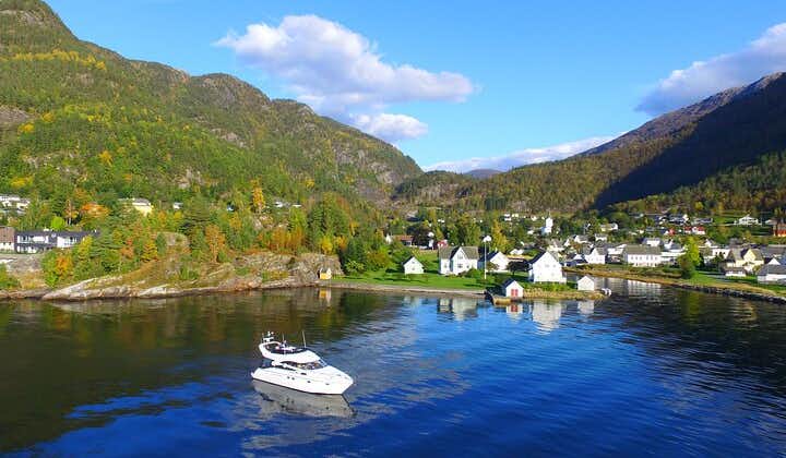 Bergen - Folgefonna Fjord + Glacier private cruise