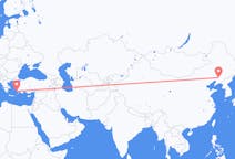中国出发地 瀋陽市飞往中国目的地 科斯岛的航班