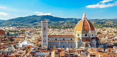 Livorno Shore Excursion: Pisa and Florence Private Day Trip