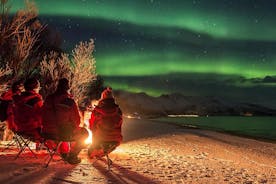 Excursión a la aurora boreal desde Tromsø