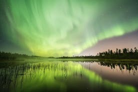 Paseo en trineo por la aurora boreal