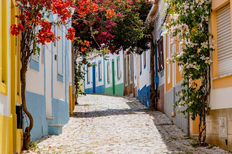 Photo of the narrow Alleys of Faro.