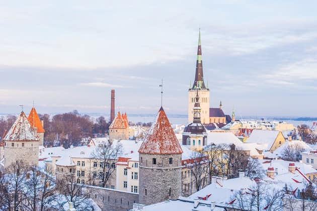 Privérondleiding van een halve dag met gids door Tallinn