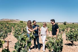Excursion d'une journée dans les vignobles premium : deux des meilleurs vignobles de la Ribera del Duero