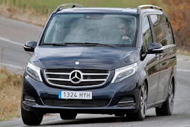 Private transfer from Linz from Vienna
